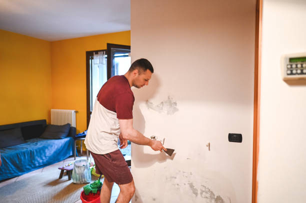 Best DIY Mold Remediation Support Services in Lebanon, MO